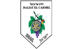 Daliat El Carmel municipality